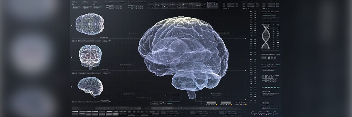 Visualización 3D de cerebro con escáneres y datos genéticos en interfaz digital para análisis neurocientífico