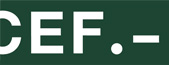 El CEF.- lanza un plan de formación continuada para auditores