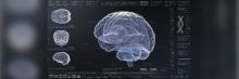 Visualización 3D de cerebro con escáneres y datos genéticos en interfaz digital para análisis neurocientífico